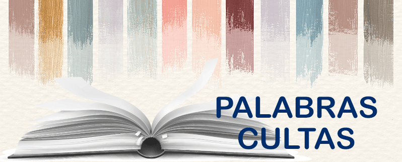 Expresiones cultas y vocabulario académico para sonar como un nativo